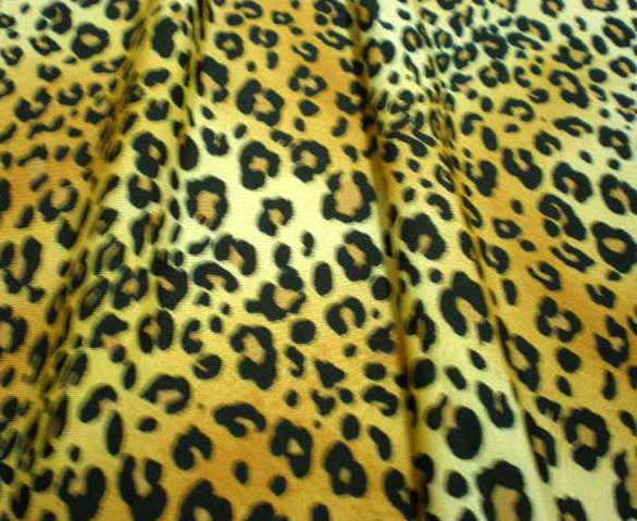 5. Lepard Animal Print